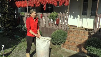 Майже 200 тонн солодкої паприки у рік виготовляють жителі у селі на Закарпатті Майже 200 тонн солодкої паприки у рік виготовляють жителі у селі на Закарпатті