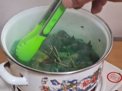 Пластик, органічна сировина, яблучні рештки, Олег Земнухов, Зеленийхаб, екопідошва для взуття, Полський університет