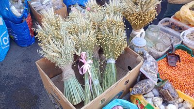 Ціни на кутю та дідухи на тернопільському ринку, продукти для куті, Тернопіль, 16 грудня 2025 року