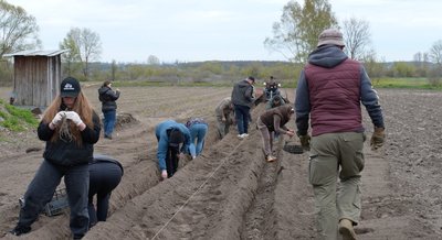 Із військових у фермери: на Черкащині ветеранів вчили вирощувати спаржу Із військових у фермери: на Черкащині ветеранів вчили вирощувати спаржу