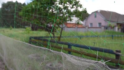 "За один день чотири влучання". Баранівку у Сумах планують закрити антидроновими сітками "За один день чотири влучання". Баранівку у Сумах планують закрити антидроновими сітками