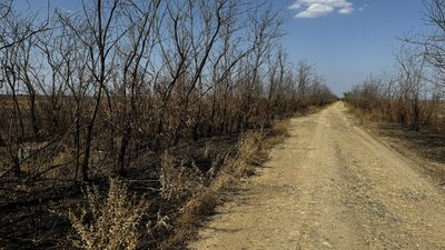 Останніх людей вивезли з-під окупації у 2022-му. Як виглядає покинуте село-привид Безіменне на Миколаївщині Останніх людей вивезли з-під окупації у 2022-му. Як виглядає покинуте село-привид Безіменне на Миколаївщині