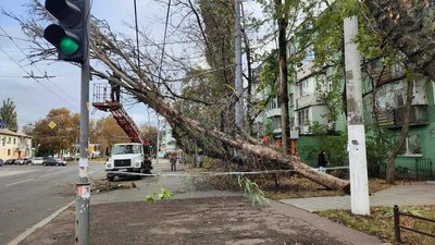 Дерево зависло на лінії електропередач Одеса