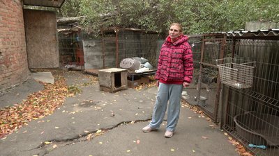 Травмувалися п'ятеро собак. У кропивницькому притулку для тварин ліквідовують наслідки буревію Травмувалися п'ятеро собак. У кропивницькому притулку для тварин ліквідовують наслідки буревію