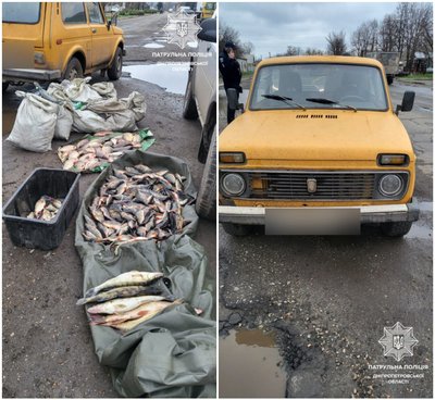 Нарибалив на понад 500 тисяч гривень: на Дніпропетровщині чоловіка підозрюють у браконьєрстві Нарибалив на понад 500 тисяч гривень: на Дніпропетровщині чоловіка підозрюють у браконьєрстві