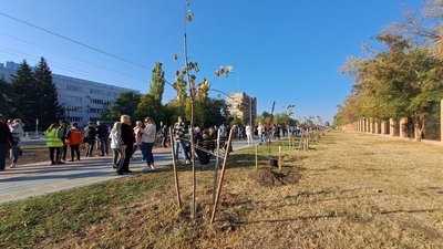 У Кропивницькому до ювілею міста й у пам'ять про загиблих військових висадили 270 дерев У Кропивницькому до ювілею міста й у пам'ять про загиблих військових висадили 270 дерев