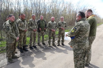 верба, військові, лоза, вербна неділя, освячення верби