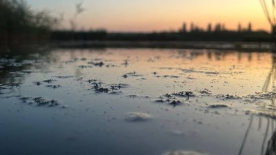 Гнилий Єланець, Гуляйгородок, Мертвовод — чудернацькі топоніми Миколаївщини та їхнє походження Гнилий Єланець, Гуляйгородок, Мертвовод — чудернацькі топоніми Миколаївщини та їхнє походження