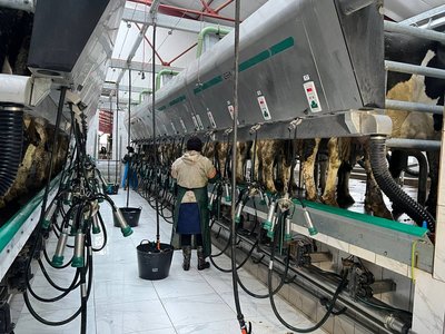 Сільгоспвиробництво Вінниччини 2024: як аграрії подолали труднощі та що зміниться у 2025 Сільгоспвиробництво Вінниччини 2024: як аграрії подолали труднощі та що зміниться у 2025