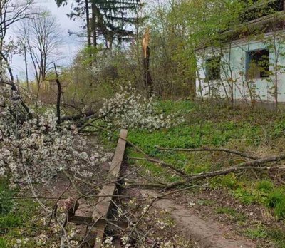 На Хмельниччині шквальний вітер спричинив масові відключення електроенергії На Хмельниччині шквальний вітер спричинив масові відключення електроенергії