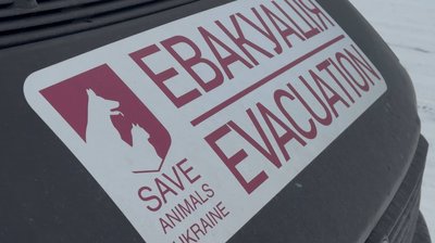 "Рятують життя під атаками дронів, артилерії та КАБів". Як зооволонтери з Дніпра вивозять тварин з прифронтових громад "Рятують життя під атаками дронів, артилерії та КАБів". Як зооволонтери з Дніпра вивозять тварин з прифронтових громад