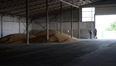 Експорт зерна на паузі: чи зазнають збитків аграрії Черкащини