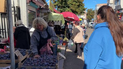 "Венгерка" та "Анна Шпет" на ринку Рівного: що кажуть покупці та продавці про ціни на сливи "Венгерка" та "Анна Шпет" на ринку Рівного: що кажуть покупці та продавці про ціни на сливи