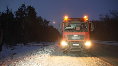 Збили лося на трасі Чернігів – Київ: чому не вдалося врятувати тварину на Чернігівщині Збили лося на трасі Чернігів – Київ: чому не вдалося врятувати тварину на Чернігівщині