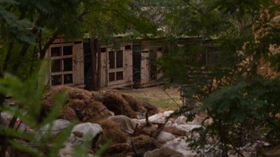Сміття, гризуни та сморід: жителі Вишневого на Дніпропетровщині скаржаться на звалище поблизу притулку для тварин