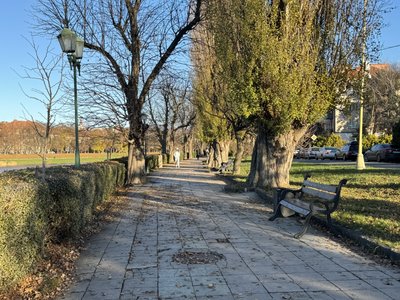 Можливе посилення вітру: яку погоду прогнозують на території області Можливе посилення вітру: яку погоду прогнозують на території області
