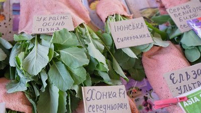"Через місяць вже збираємо урожай": на хмельницькому продовольчому ринку розпочався сезон продажу розсади "Через місяць вже збираємо урожай": на хмельницькому продовольчому ринку розпочався сезон продажу розсади