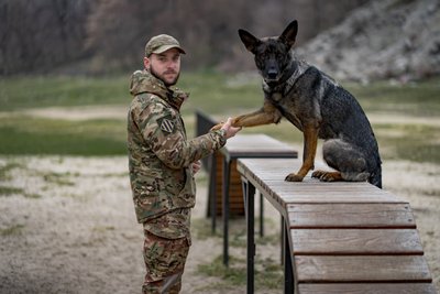 "Вона до кінця думає, що шукає м'ячик": як працює німецька вівчарка Оля разом з кінологом НГУ Романом "Вона до кінця думає, що шукає м'ячик": як працює німецька вівчарка Оля разом з кінологом НГУ Романом