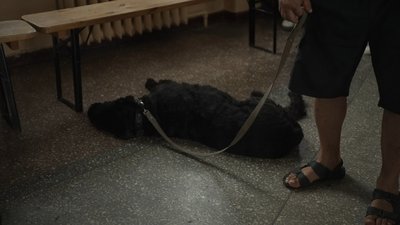 Прийняли 28 переселенців із Донеччини: на Рівненщину прибув 13 евакуаційний потяг Прийняли 28 переселенців із Донеччини: на Рівненщину прибув 13 евакуаційний потяг