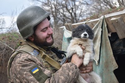 Воюють разом з нами: воїни 30 бригади з Житомирщини показали своїх фронтових тварин Воюють разом з нами: воїни 30 бригади з Житомирщини показали своїх фронтових тварин