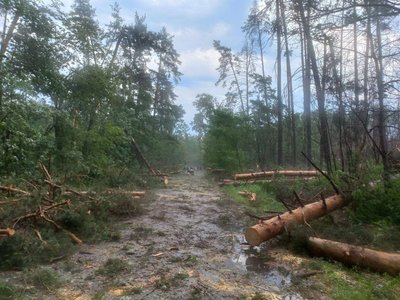 Повалені дерева та затоплені вулиці: наслідки негоди на Черкащині Повалені дерева та затоплені вулиці: наслідки негоди на Черкащині