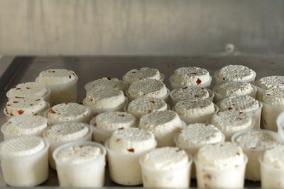 Сир, який виготовляють на екофермі в селі Стрілецький Кут Чернівецької області Сир, який виготовляють на екофермі в селі Стрілецький Кут Чернівецької області