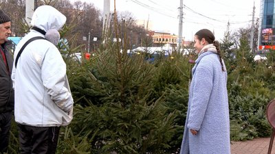 Ялинкові базари у Вінниці: де і за скільки купити Ялинкові базари у Вінниці: де і за скільки купити
