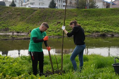 Сум'яни висадили 50 дерев на березі річки Сумки до Дня довкілля. Фото Сум'яни висадили 50 дерев на березі річки Сумки до Дня довкілля. Фото
