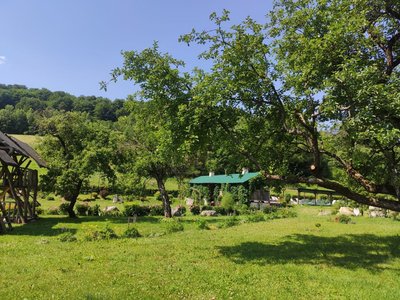 зелена садиба, туризм, Куряни