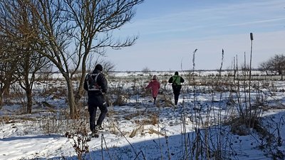 У громаді на Житомирщині чоловік вбив та повісив собаку на очах у дітей