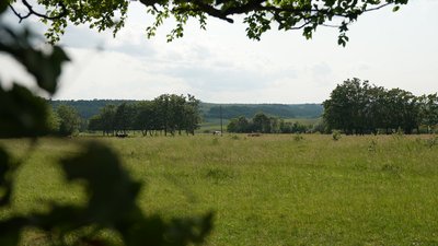 Зруб, УПА Зруб, УПА