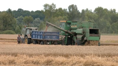 Жнива 2026 на Чернігівщині: з якими проблемами зіткнулись аграрії Жнива 2026 на Чернігівщині: з якими проблемами зіткнулись аграрії