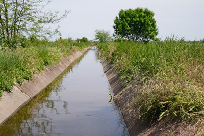 Як відновлюють зрошення на Херсонщині: майже чотири тисячі гектарів знову з водою Як відновлюють зрошення на Херсонщині: майже чотири тисячі гектарів знову з водою