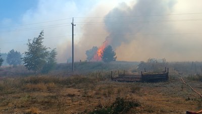 Чому на Полтавщині так багато лісових пожеж Чому на Полтавщині так багато лісових пожеж