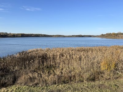 Орнітологічна вежа та пташині екскурсії з'явилися у ландшафтному парку «Диканський»: що це Орнітологічна вежа та пташині екскурсії з'явилися у ландшафтному парку «Диканський»: що це