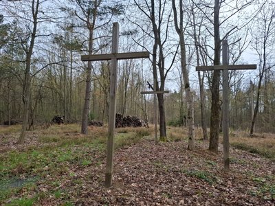 цвинтар, пужники, ексгумація, волинська трагедія цвинтар, пужники, ексгумація, волинська трагедія