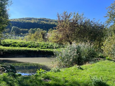 Село Галицьке