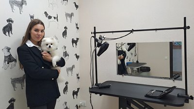 Втілила мрію. Переселенка із Сумщини відкрила у Кропивницькому салон краси для тварин