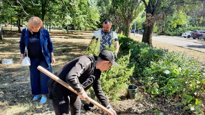 15 катальп до Дня міста подарували херсонці Кропивницькому