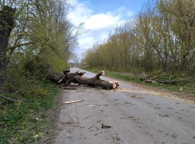 наслідки негоди на Тернопільщині наслідки негоди на Тернопільщині