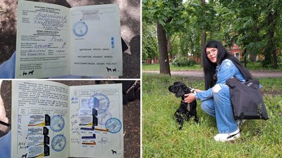 "Автобус – не для тварин, їдьте на таксі". Кропивничанку не пустили в автобус із собакою "Автобус – не для тварин, їдьте на таксі". Кропивничанку не пустили в автобус із собакою