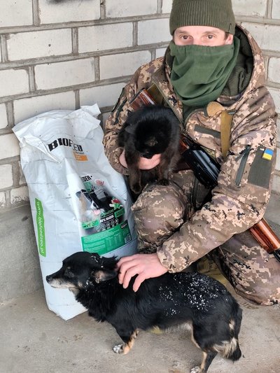 «Спокутую вину»: як 67-річний волонтер з Волині рятує собак і котів з-під обстрілів «Спокутую вину»: як 67-річний волонтер з Волині рятує собак і котів з-під обстрілів