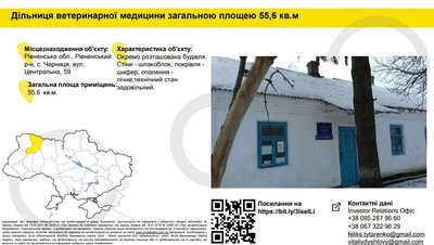 Приватизація Приватизація