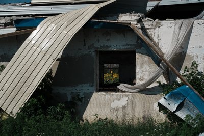 Поле соняшників видно у вікні розбитої у Копанях на Харківщині ферми Поле соняшників видно у вікні розбитої у Копанях на Харківщині ферми