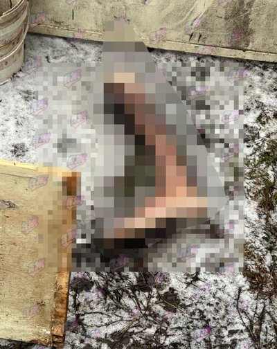В одному з мікрорайонів Житомира знайшли частину ноги людини — справу розслідує поліція