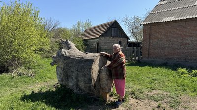 Світлана показує спиляну тополю Довга Балка Іллінівська громада Донецька область 21 квітня 2025 рік Світлана показує спиляну тополю Довга Балка Іллінівська громада Донецька область 21 квітня 2025 рік