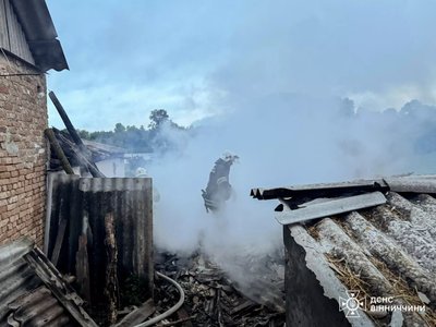 На Вінниччині під час пожежі загинули корова та теля На Вінниччині під час пожежі загинули корова та теля