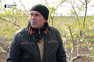 Мигдаль зі свого саду: на Одещині подружжя вирощує горіхи Мигдаль зі свого саду: на Одещині подружжя вирощує горіхи