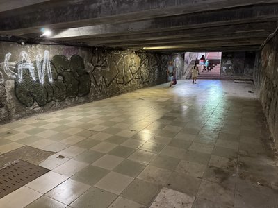 Сирість, грибок і сміття: в якому стані підземні переходи у Полтаві і чи планують ремонт Сирість, грибок і сміття: в якому стані підземні переходи у Полтаві і чи планують ремонт