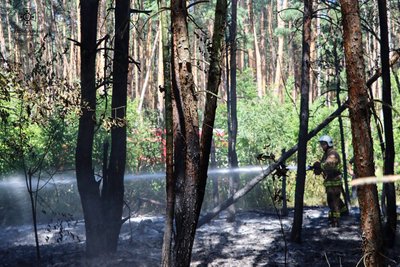 На Черкащині через необережне куріння зайнялося чотири пожежі протягом доби На Черкащині через необережне куріння зайнялося чотири пожежі протягом доби